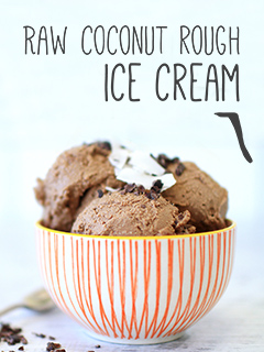 Raw Coconut Rough Ice Cream